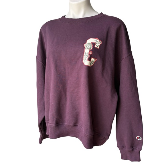 NWT, Champion Powerblend Crew Neck Long Sleeve Sweatshirt, Sz 2XL - Picture 8 of 14